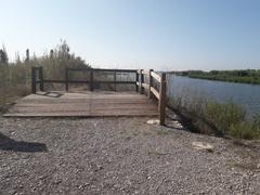 Observatory Gola Sur at the mouth of Mijares River in Castellón