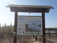 Sign indicating bird species at the mouth of the Mijares river in Castellón