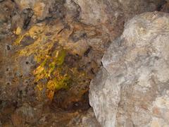 Inside the Dragon's Cave underneath Wawel Hill