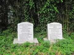 Graves of dogs Ebony & Onyx in Shimla