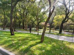 Zhongshan Park fully opened in 2022