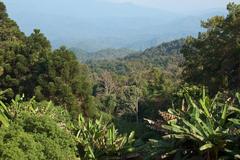 Doi Pui hills in Chiang Mai, Thailand