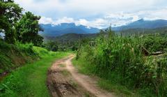 Doi Suthep National Park in Chiang Mai Province, northern Thailand