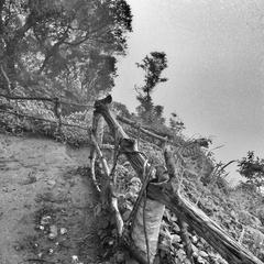 Viewpoint at Doi Pui