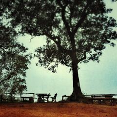 Doi Pui Viewpoint in Suthep, Chiang Mai, Thailand