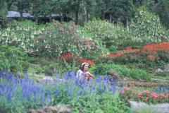 Flower view on Doi Pui