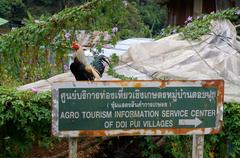 Village in Doi Suthep-Pui National Park, Thailand