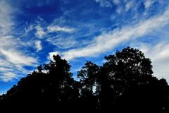 Doi Suthep-Pui National Park in Thailand