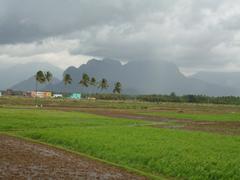 Nagercoil town panorama