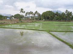 view of Nagercoil from above