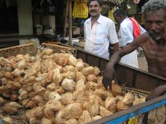 selling coconuts in Nagercoil, Tamil Nadu