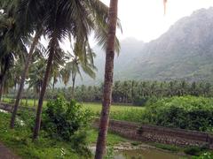 Bhoothapandy Village in Nagercoil, Tamil Nadu, India