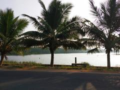 countryside in Nagercoil with lush greenery