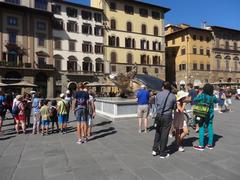 Giant turtle sculpture in Piazza della Signoria, Florence