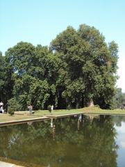 Srinagar Shalimar Gardens