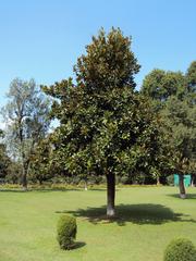 Shalimar Gardens in Srinagar