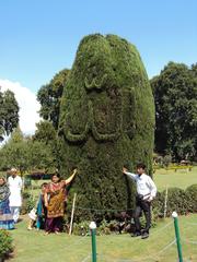 Shalimar Gardens in Srinagar