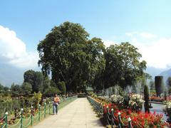 Shalimar Gardens in Srinagar