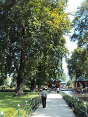 Srinagar - Shalimar Gardens scenic view