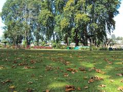 Srinagar - Shalimar Gardens