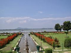 Beautiful flowers in Shalimar Bagh, Srinagar