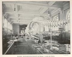 Musee Oceanographique de Monaco whale anatomy exhibit