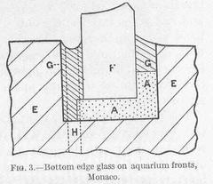 bottom edge glass on aquarium fronts in Monace