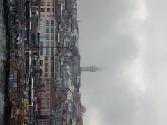 Panoramic view of Istanbul's skyline with iconic landmarks