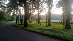 Chandrapur evening sunset view with road and tree