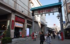 Asakusa Hanayashiki amusement park alley