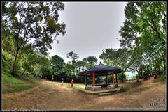 Scenic view of Shing Mun Reservoir with lush greenery and clear waters