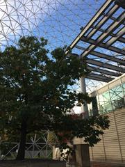 view from inside the geodesic dome of the Montreal Biosphère