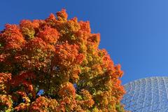 Autumn colors in Parc Jean Drapeau surrounding the Biosphère in Montreal