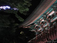 Seoul skyline at night, August 2007