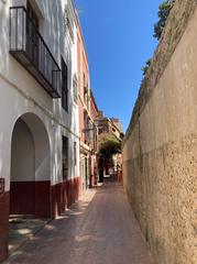 Callejón del Agua in Seville with an old wall