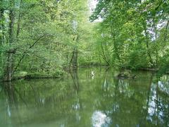 Schloss Morsbroich in Leverkusen