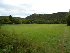 Meiereiwiese meadow with ruins of Mödling Castle