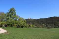 Natural monument in Lower Austria with ID MD-042