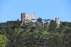 Ruine Mödling from Meiereiwiese in April 2016