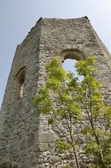 Ruine Mödling viewed from a nearby hill with surrounding trees and blue sky