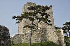 Ruine Mödling castle ruins amidst lush greenery