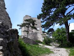 Burg Mödling castle tower in 2020