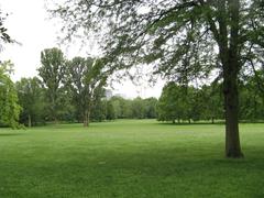 Meadows in the Grüneburgpark, Frankfurt