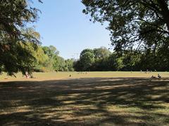 Grüneburgpark in Frankfurt am Main