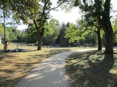 Grüneburgpark in Frankfurt am Main