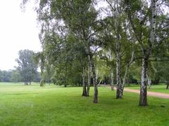 Grüneburgpark, Frankfurt