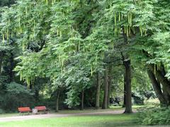 Grüneburgpark in Frankfurt am Main, Germany