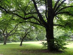 Grüneburgpark in Frankfurt am Main, Germany