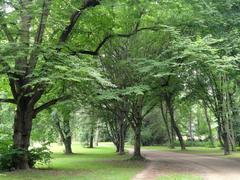 Grüneburgpark in Frankfurt am Main, Germany