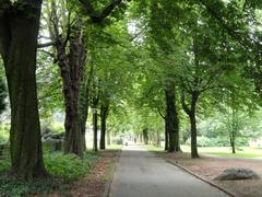 Grüneburgpark in Frankfurt am Main